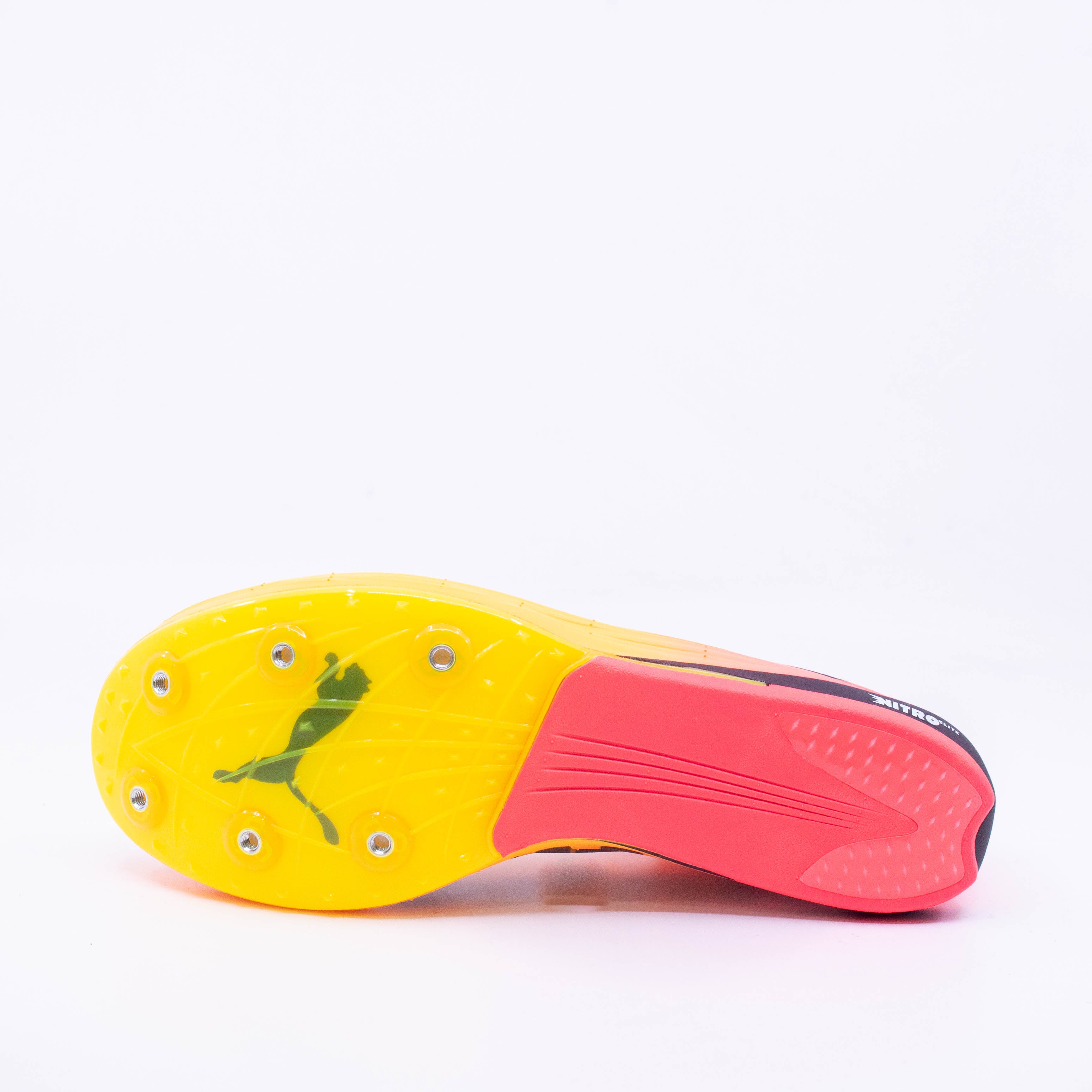 Puma EvoSPEED Long Distance Nitro Elite 2 Spike (D Standard) Mens) - Frontrunner Colombo
